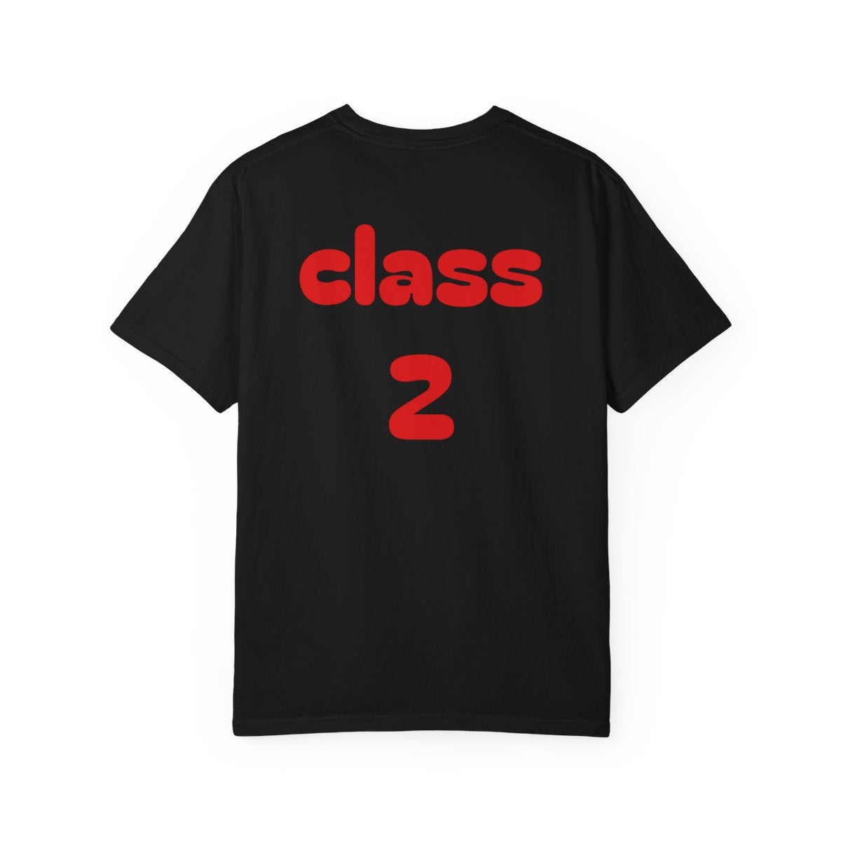 class 2 custom t shirt