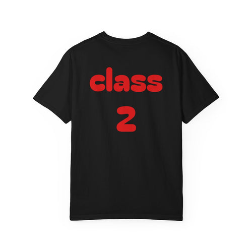 class 2 custom t shirt